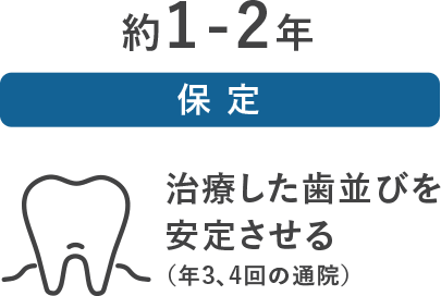 約1-2年［保定］治療した歯並びを安定させる（年3、４回の通院）